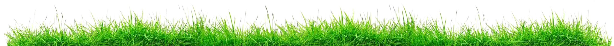 Gladden Farms grass garden